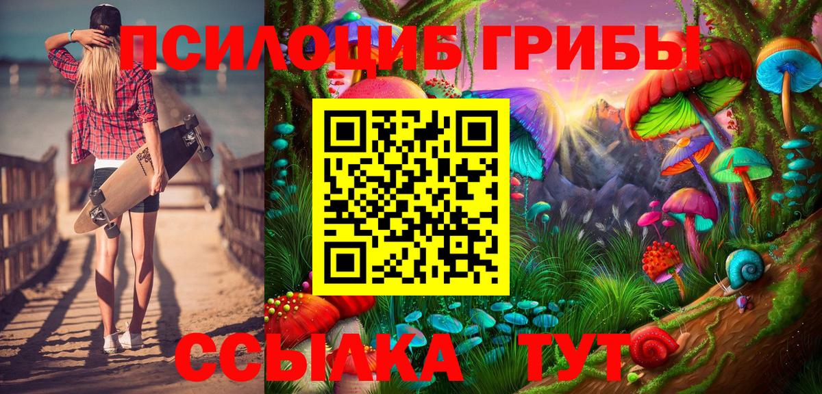 Галлюциногенные грибы Psilocybine cubensis Магадан