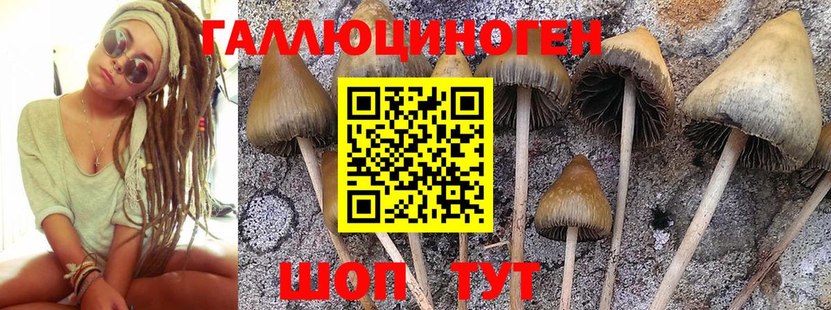Псилоцибиновые грибы ЛСД  Вход с VPN  Магадан 